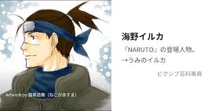 「うみのイルカ」の画像検索結果