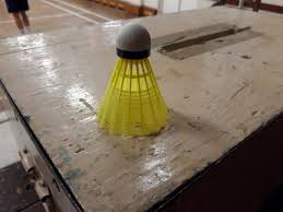 Image result for Guildford and District Badminton League