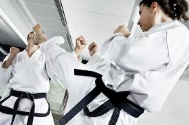 Image result for Taunton Karate academy