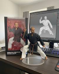 Image result for Zen Shin Seicho Do Adult Karate