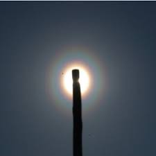 Attēlu rezultāti vaicājumam “pollen corona”