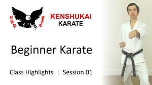 Image result for Kenshukai Karate