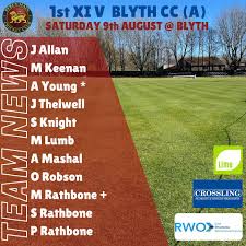 Image result for Lintz Cricket Club