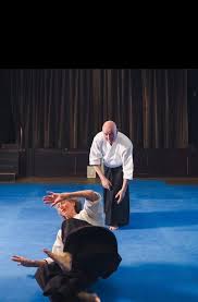 Image result for Coldharbour Aikido Club