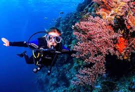Image result for Great Western Divers