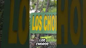 「parque los chor」の画像検索結果