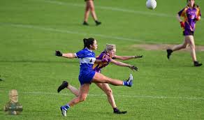 Image result for Carryduff Gaelic Athletic Club