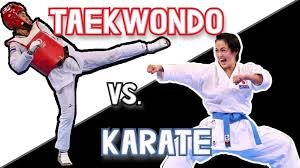 Image result for COMBAT TAEKWONDO