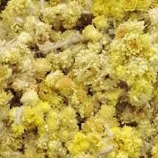 Attēlu rezultāti vaicājumam “Helichrysum arenarium flower”