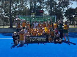 Image result for West Coast Wasps Skater Hockey Club