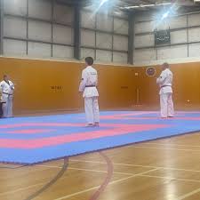 Image result for Bytomic Tae Kwon Do Beaconsfield