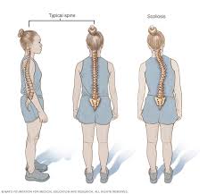 Image result for Curves