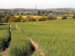 Image result for Silkstone Utd Cc