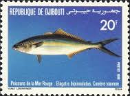 Image result for Elagatis bipinnulata