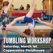 Image result for Focus Institute of Gymnastics