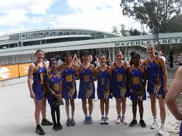 Image result for Waverley Netball Club