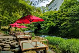 Image result for Kakumei Kan Aikikai (Middlesbrough)