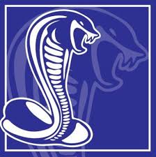 Image result for Sandown Sports Club