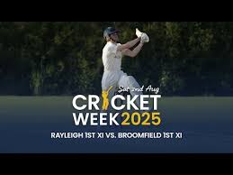 Image result for The Rayleigh Cricket Club