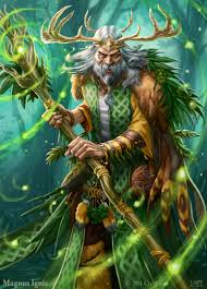Image result for druid