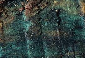 Attēlu rezultāti vaicājumam “Chlorociboria aeruginascens”