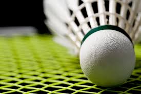 Image result for Dorking Badminton Club/Dorking Junior B C