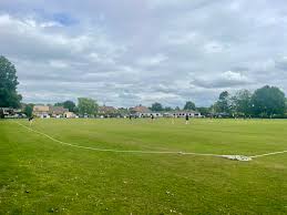 Image result for Appleton Cricket Club