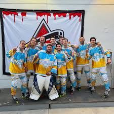 Image result for Vipers Roller Hockey Team
