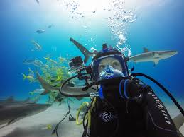 Image result for Headstream Divers