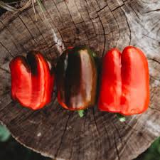 Afbeeldingsresultaat voor yolo wonder sweet pepper