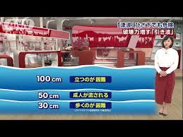 Image result for 耐震 大津波無力