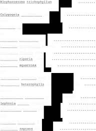 Attēlu rezultāti vaicājumam “Blepharostoma trichophyllum sporophyte”