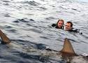 Terror in the deep - Film - www.