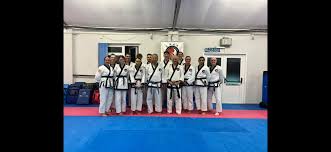 Image result for Tang Sou Dao Ren Yi Wu Kwan - Huntingdon