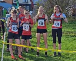 Image result for Billingham Marsh House Harriers