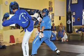 Image result for Ji Shin Do Karate