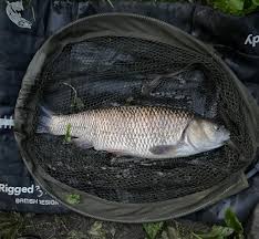 Image result for Plough Angling Society