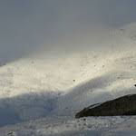 Image result for Silva L1 MidNite