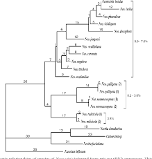Attēlu rezultāti vaicājumam “Nectria sp., Neonectria sp.”