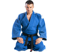 Image result for Apollo Martial Arts Academy