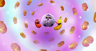 Attēlu rezultāti vaicājumam “larva”