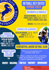 Image result for Kingfishers Netball Club