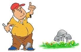 Attēlu rezultāti vaicājumam “Phleogena faginea sessile”