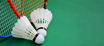 Image result for Boothferry Junior Badminton Club