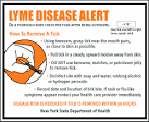 Ticks and LYME DISEASE