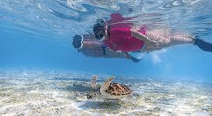 Image result for Underwater Adventures