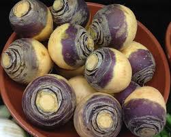 Attēlu rezultāti vaicājumam “Brassica napus”