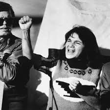 Image result for Bugaboo Cameleon Julianna Margulies