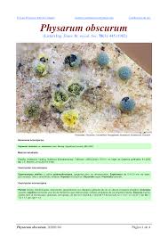 Attēlu rezultāti vaicājumam “Physarum obscurum”