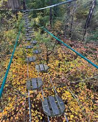 Image result for The Go Ape Experience (Swinley Forest)